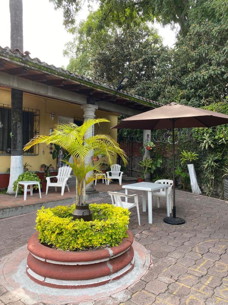 Quinta Angeles Apartment เควนาวากา ภายนอก รูปภาพ